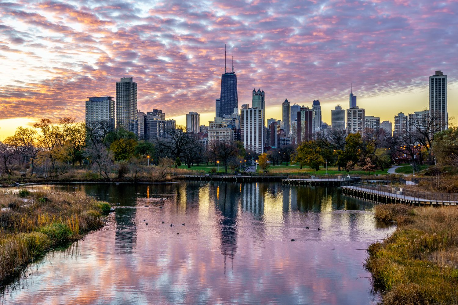 Chicago Skyline